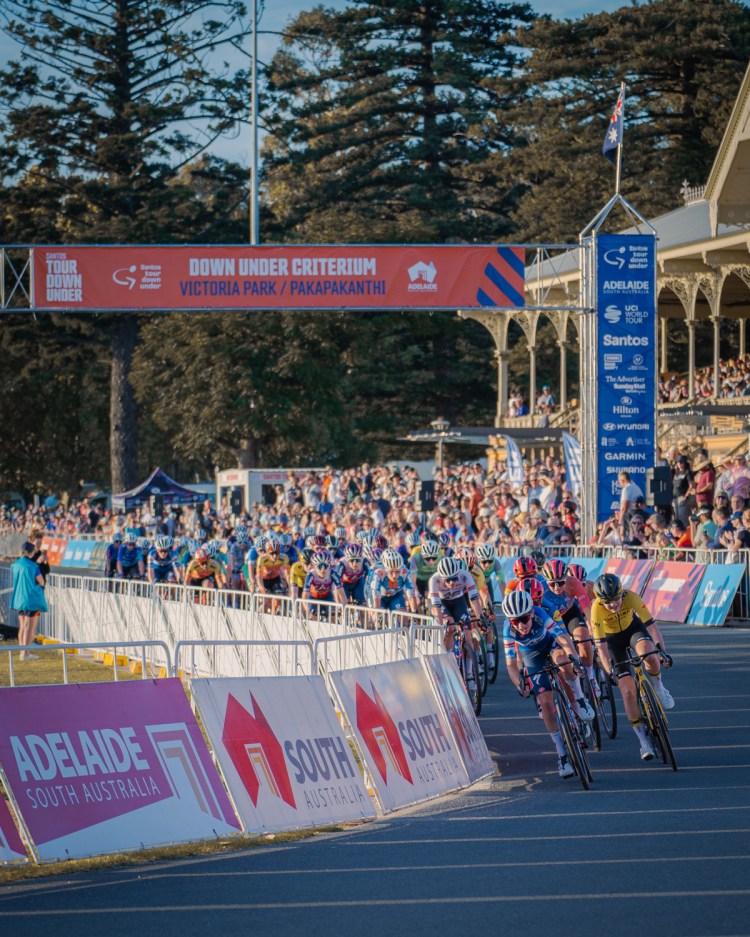 sports-photography-adelaide freelance-sports-photographer football-photographer