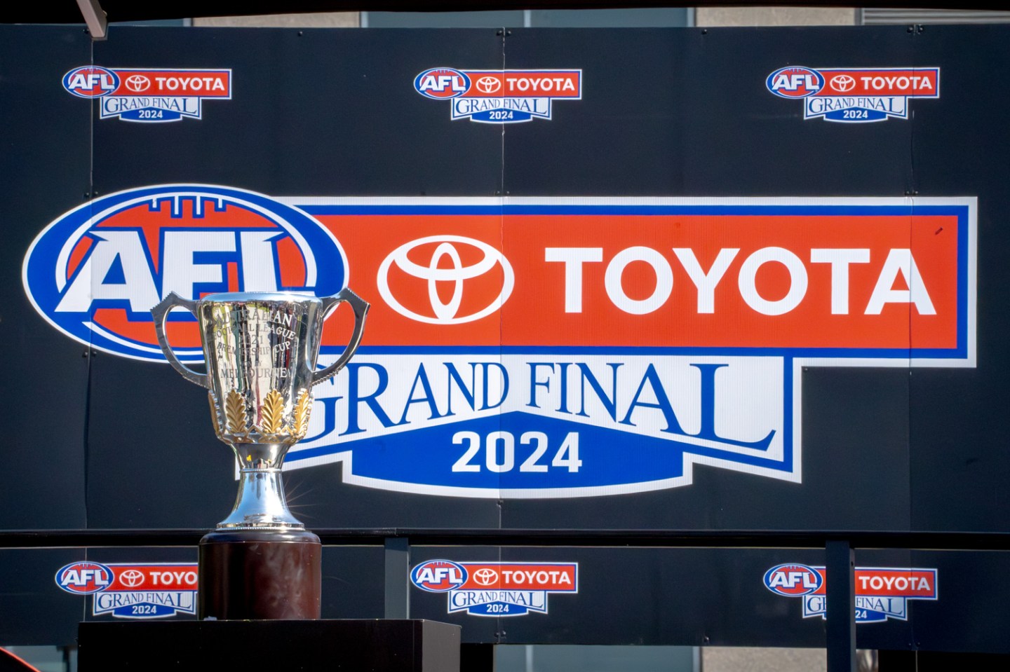 Event Photography: Capturing the 2024 AFL Grand Final Footy Festival ...